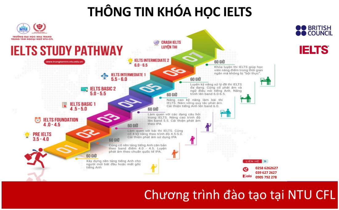 Ielts bannner